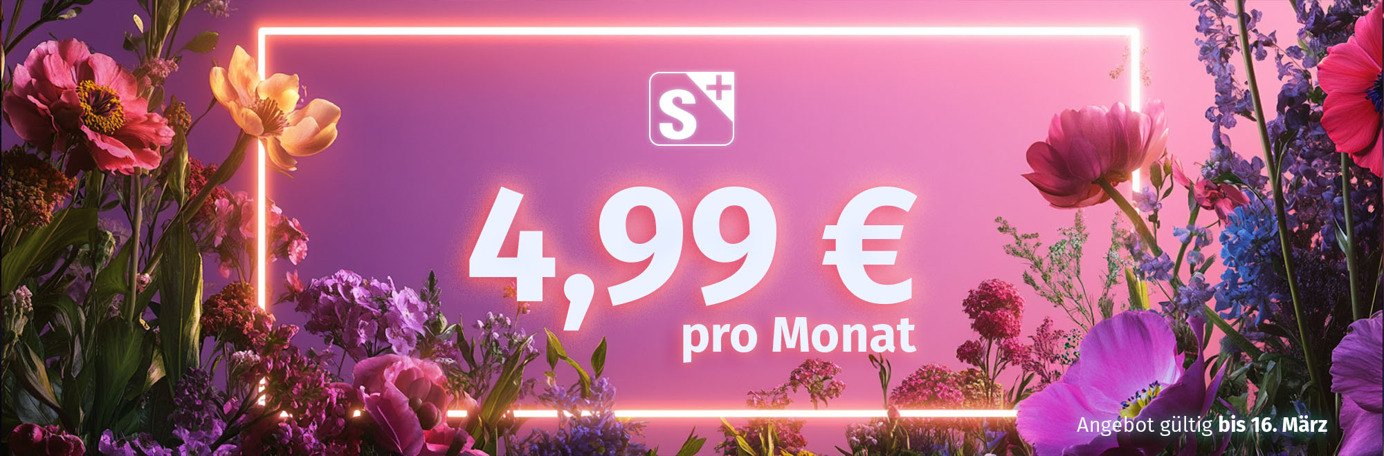 s+ splus sportnews standard